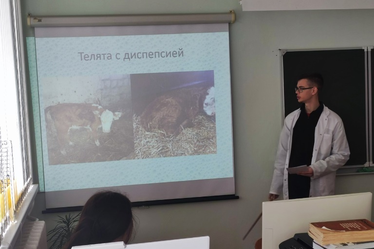 Студент выступает с докладом