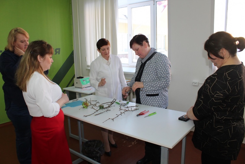 гости пробуют сделать прививку культуры