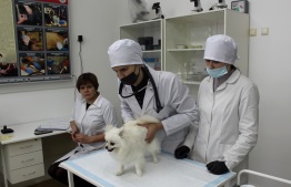 Демэкзамен по компетенции Ветеринария