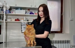 Хочешь, чтобы твой диплом сразу работал? 