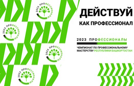 Профессионалы 2023 Республики Башкортостан